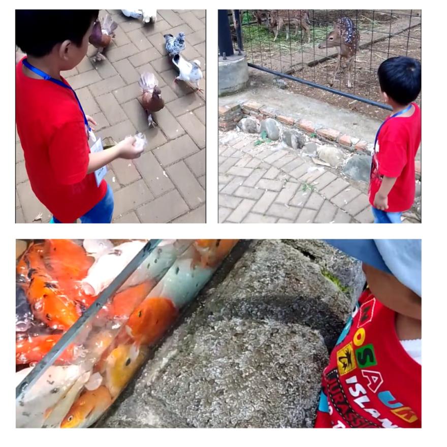 Liburan Asik ke Kebun Binatang untuk Anak